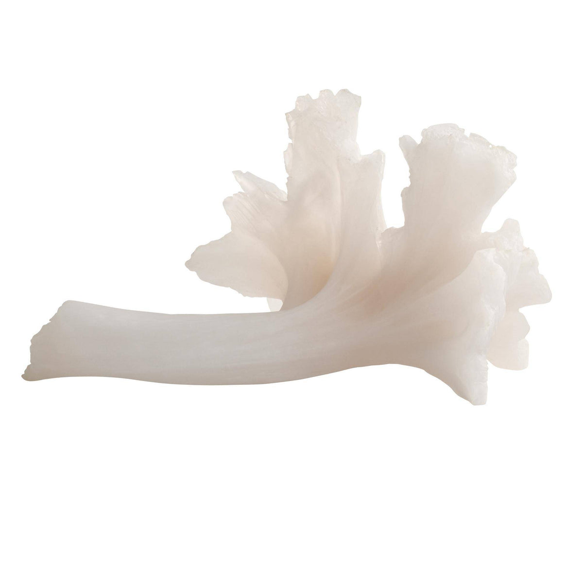 Oyster ruffle mushroom sculpture, additional view