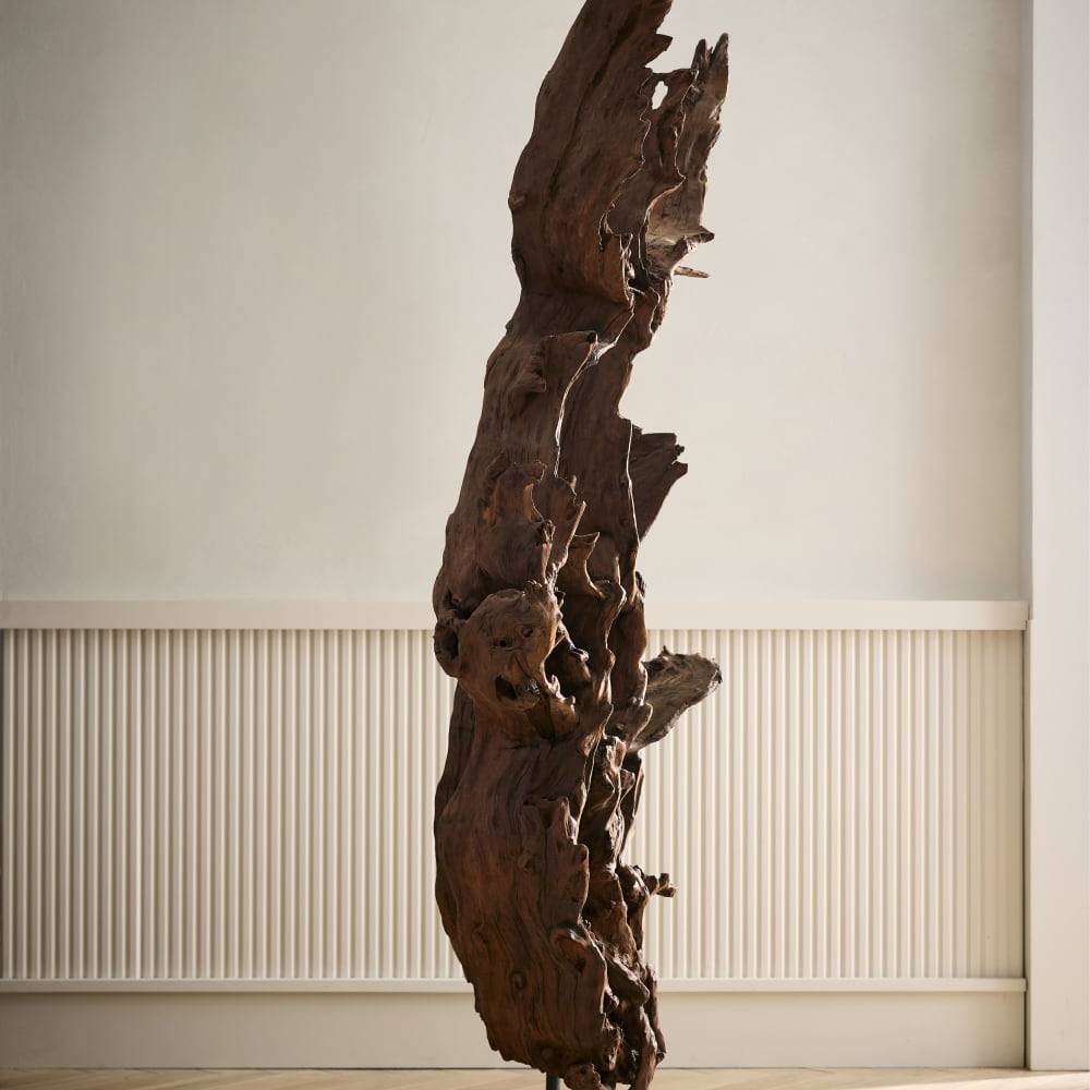 Wilder driftwood root floor sculpture, additional view