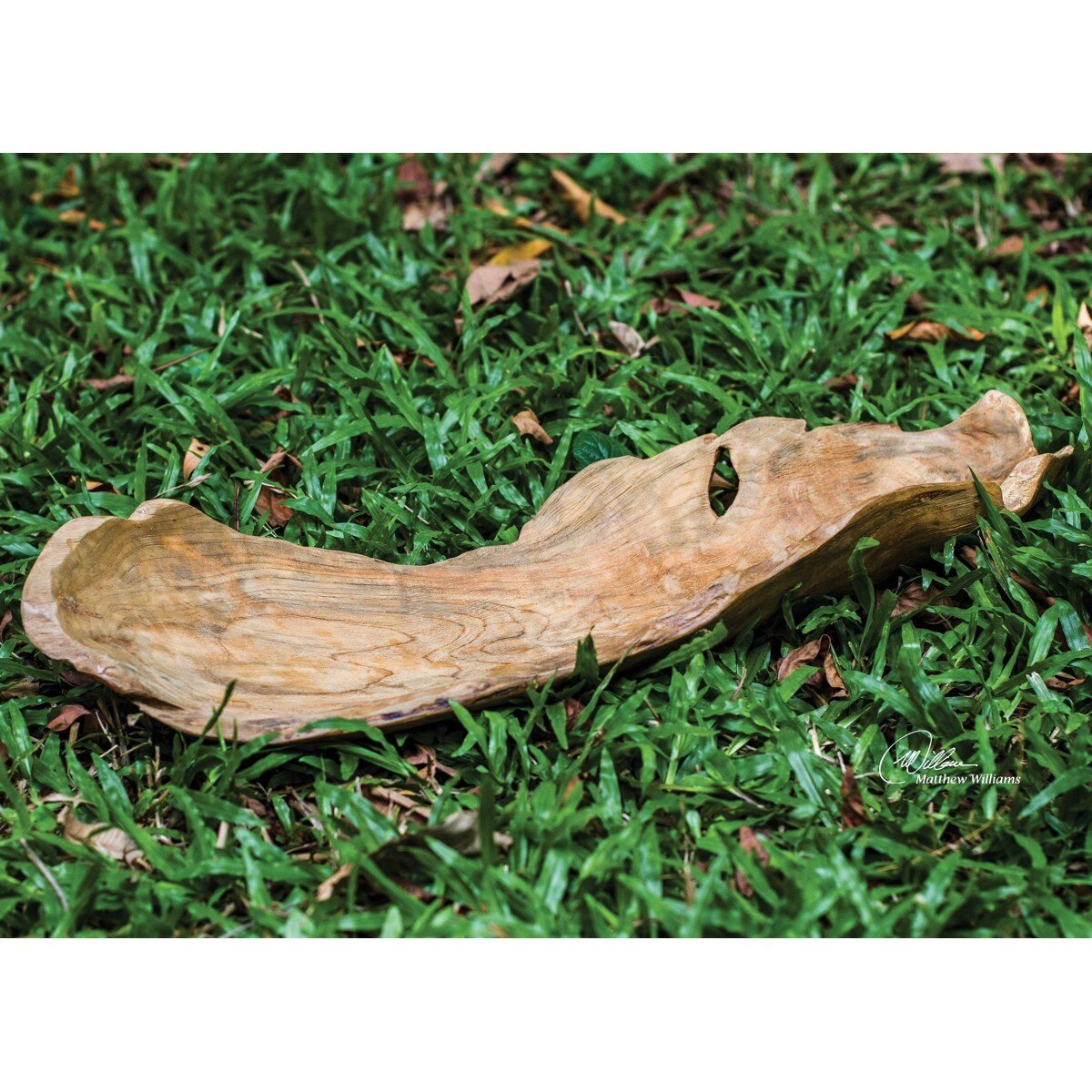 Grove Teak Bowl scale view