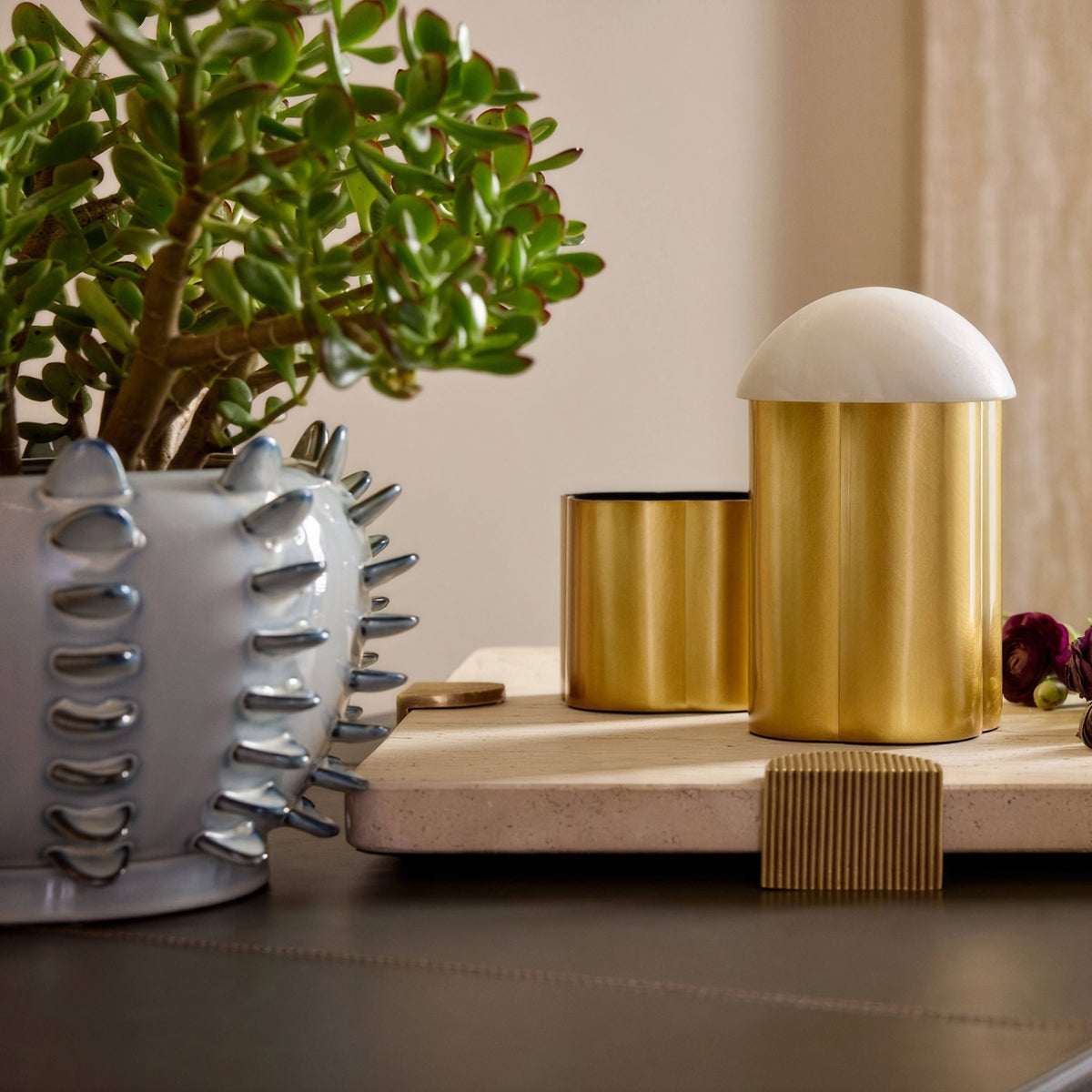 Beige marble tray with brass clasps styled with a brass canister and plant