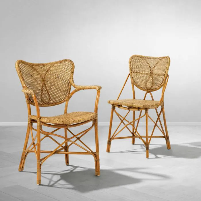 Havana Dining Armchair in Honey Rattan