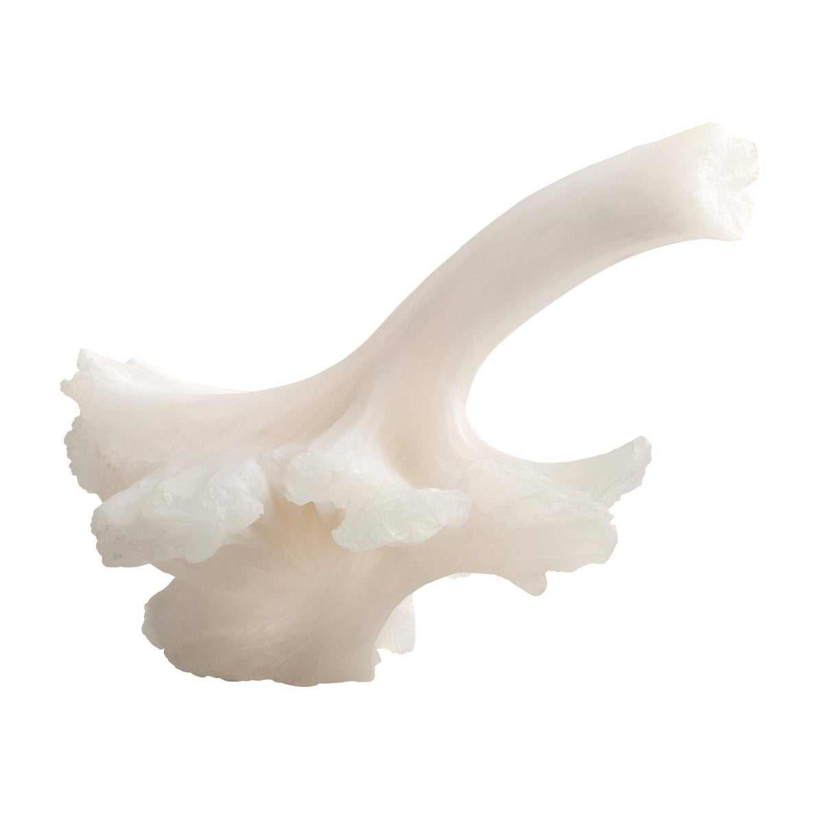 Oyster ruffle mushroom sculpture, additional view