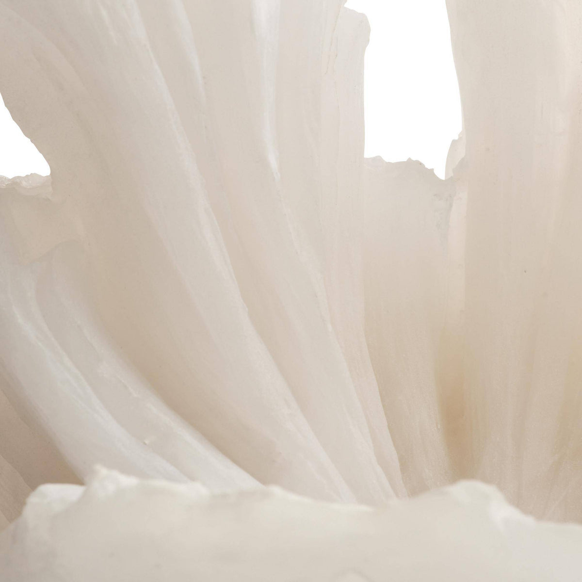 Oyster ruffle mushroom sculpture, additional view