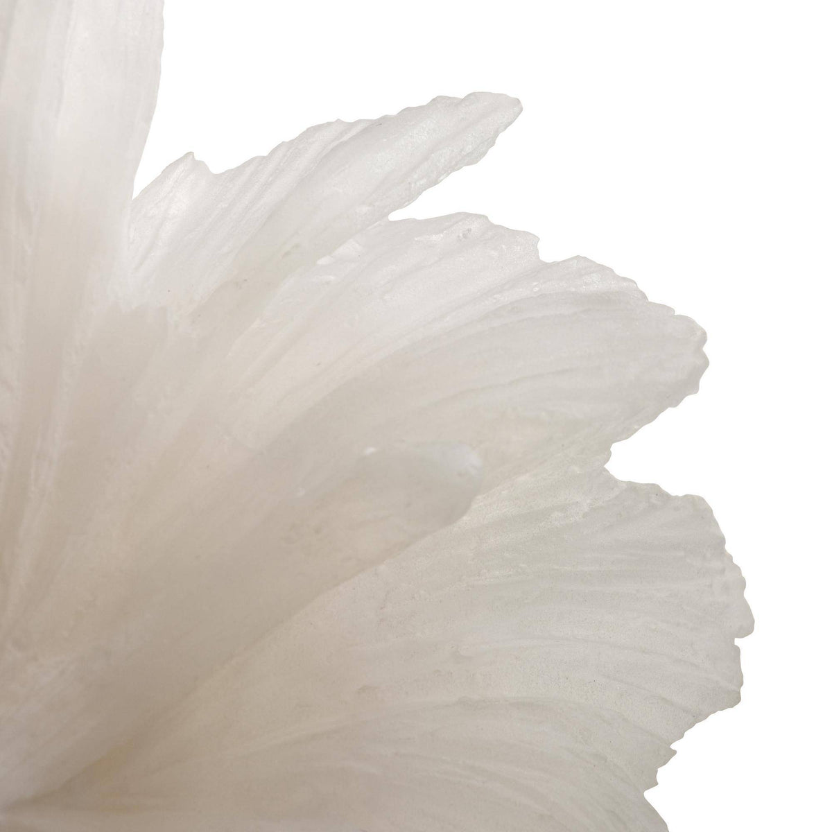 Oyster ruffle mushroom sculpture, additional view
