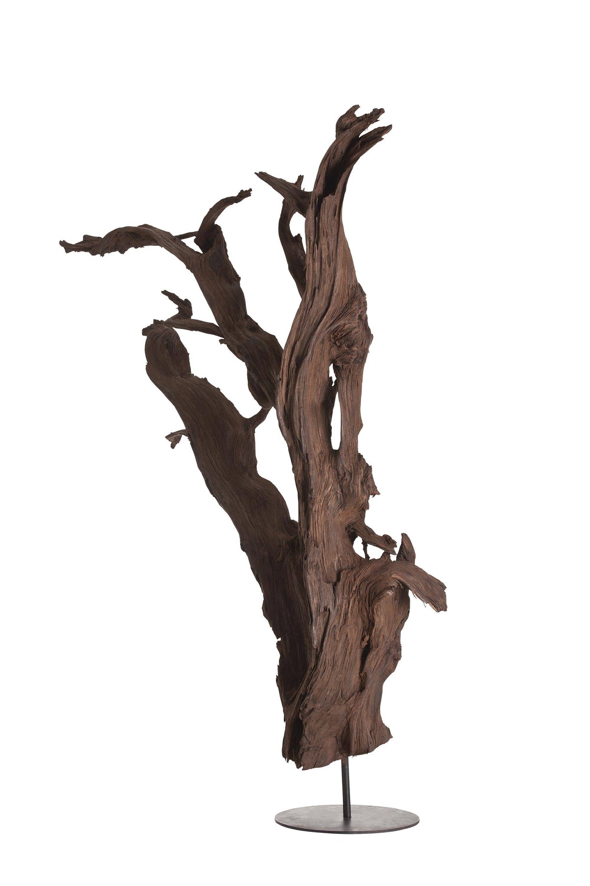Wilder driftwood root floor sculpture, additional view